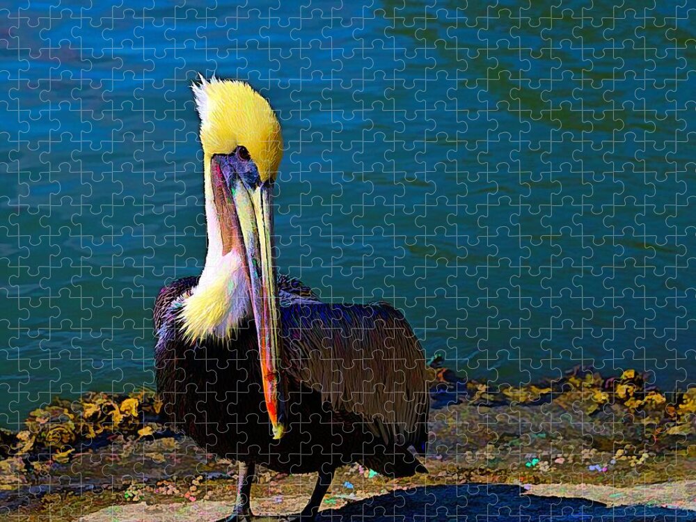 Pelican Jigsaw Puzzle featuring the photograph In Color by Alison Belsan Horton
