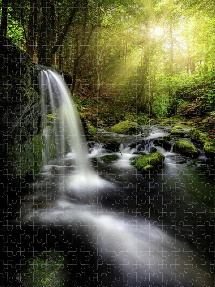 Appalachian Trail Jigsaw Puzzle featuring the photograph In the Light Sages Ravine by Bill Wakeley