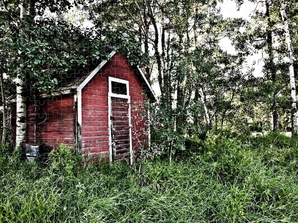 Barn Jigsaw Puzzle featuring the photograph In The Woods by Carmen Kern