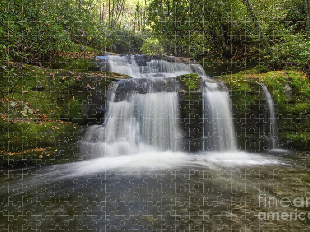 Indian Flats Falls Jigsaw Puzzle featuring the photograph Indian Flats Falls 15 by Phil Perkins