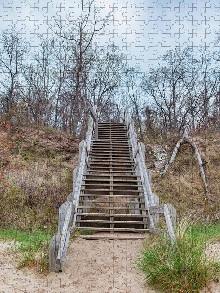 Indiana Dunes National Lakeshore Jigsaw Puzzle featuring the photograph Indiana Dunes Steps by Kyle Hanson