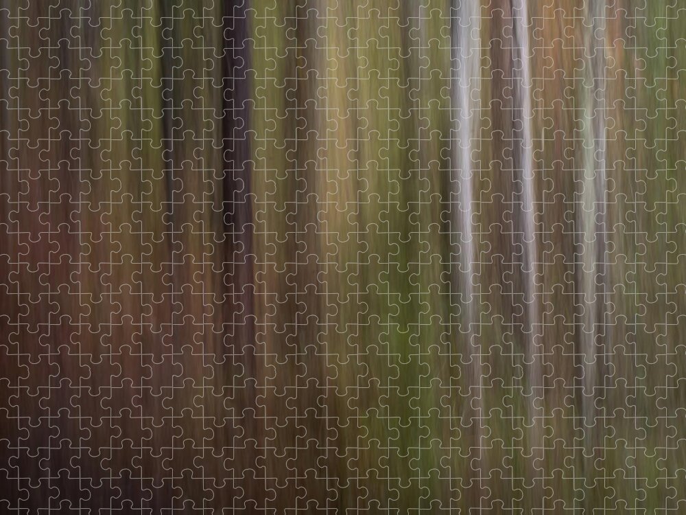 Nature Jigsaw Puzzle featuring the photograph Into the Forest by Forest Floor Photography