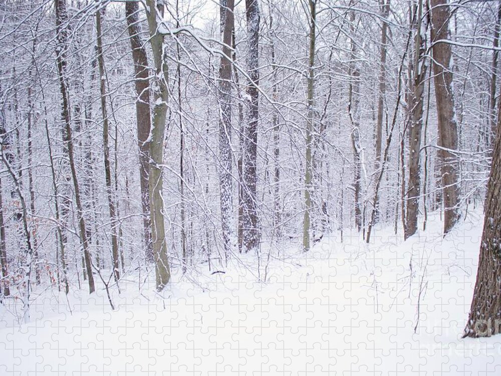 Woods Jigsaw Puzzle featuring the photograph Into the woods by Yvonne M Smith