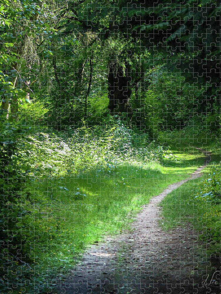 Hiking Jigsaw Puzzle featuring the photograph Invitation Path by D Lee