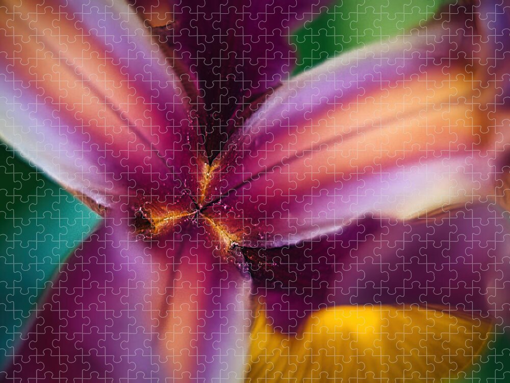 Iris Jigsaw Puzzle featuring the photograph Iris Flower Macro #2 by Stuart Litoff
