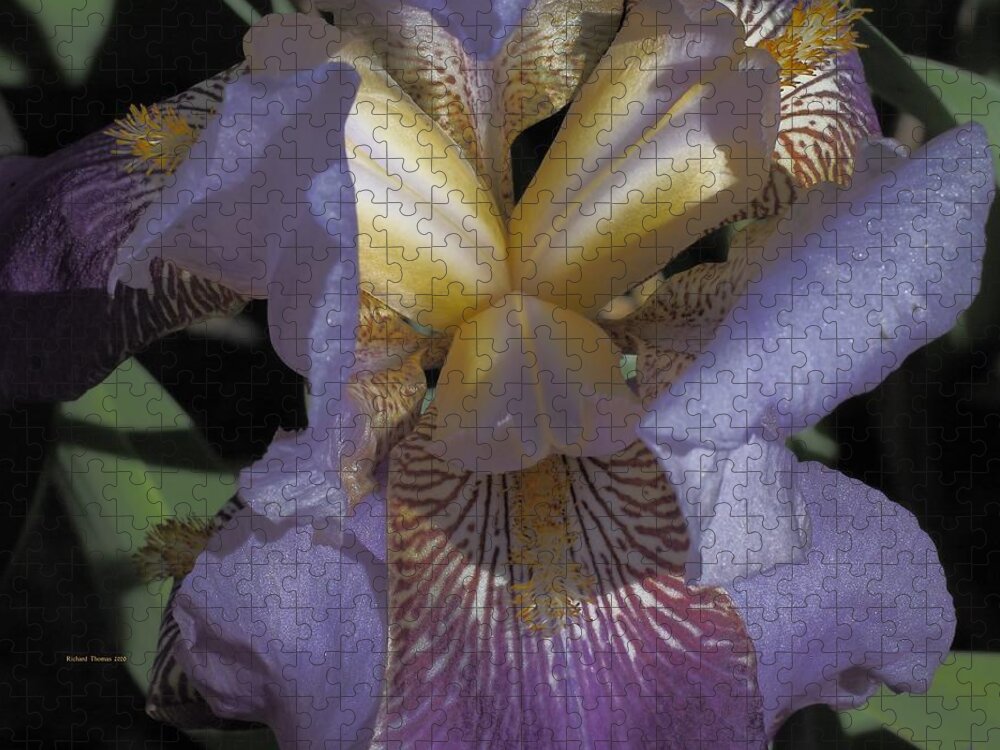Botanical Jigsaw Puzzle featuring the photograph Iris Yawn by Richard Thomas