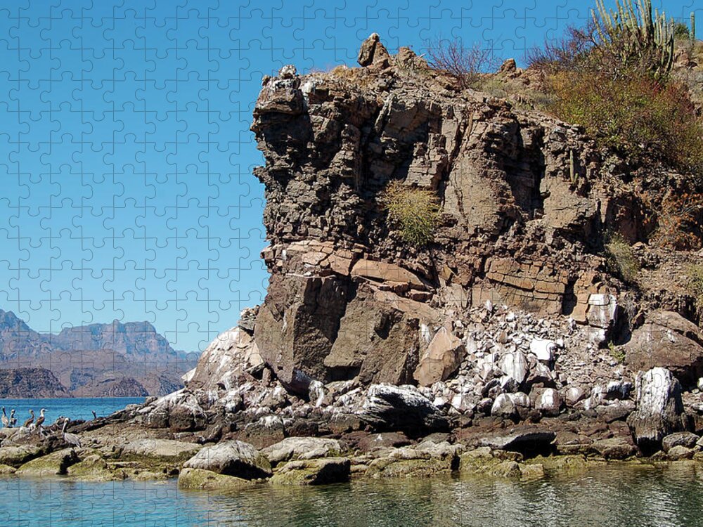 Ocean Jigsaw Puzzle featuring the photograph Isla Coronado Cliffs by William Scott Koenig