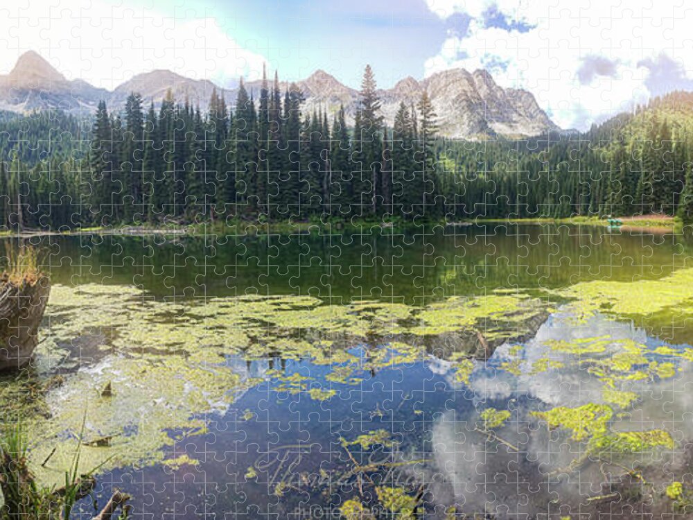 Mountains Jigsaw Puzzle featuring the photograph Island lake by Thomas Nay