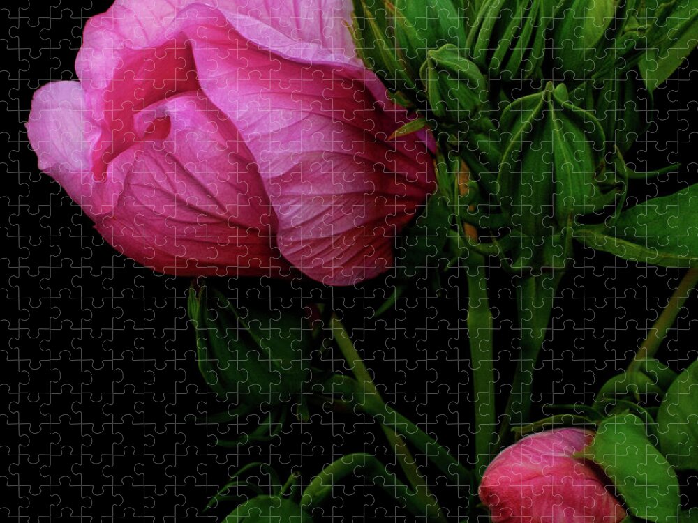 Hibiscus Jigsaw Puzzle featuring the photograph Its A Matter Of Persective by Cynthia Dickinson