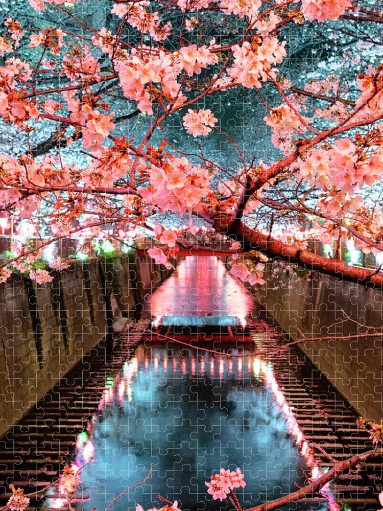 Japan Jigsaw Puzzle featuring the photograph Japan Rising Sun Collection - Meguro River Cherry Blossom V I by Philippe HUGONNARD