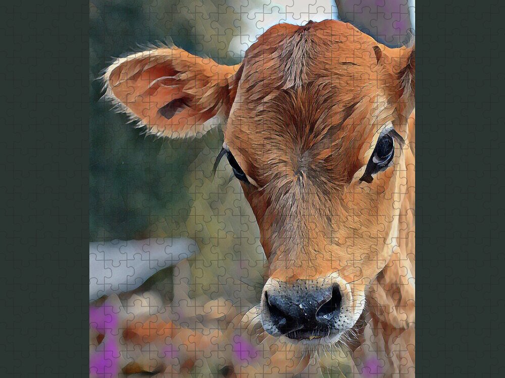 Jersey Jigsaw Puzzle featuring the photograph Jersey Dairy Calf by Farol Tomson