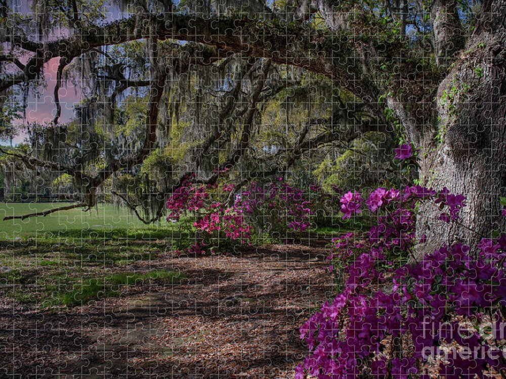 Magnolia Plantation Jigsaw Puzzle featuring the photograph Jewel of the South - Magnolia Plantation by Dale Powell
