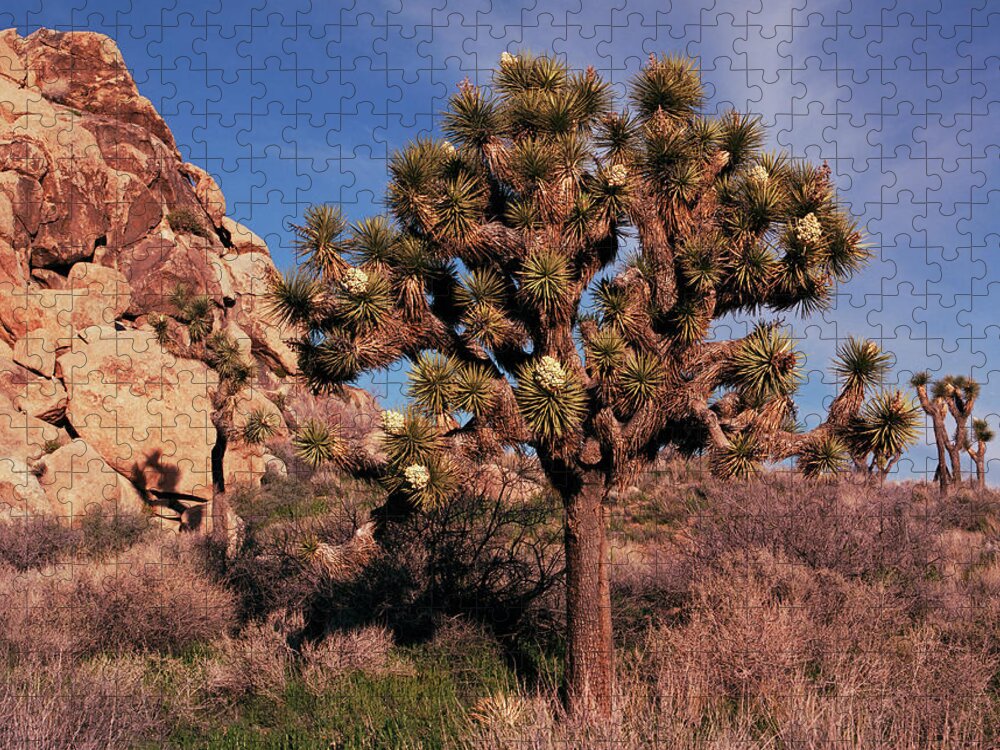 Tom Daniel Jigsaw Puzzle featuring the photograph Joshua Boulders by Tom Daniel