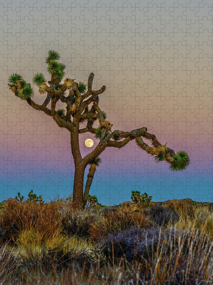 Joshua Tree Jigsaw Puzzle featuring the photograph Joshua Tree Full Moon by George Buxbaum