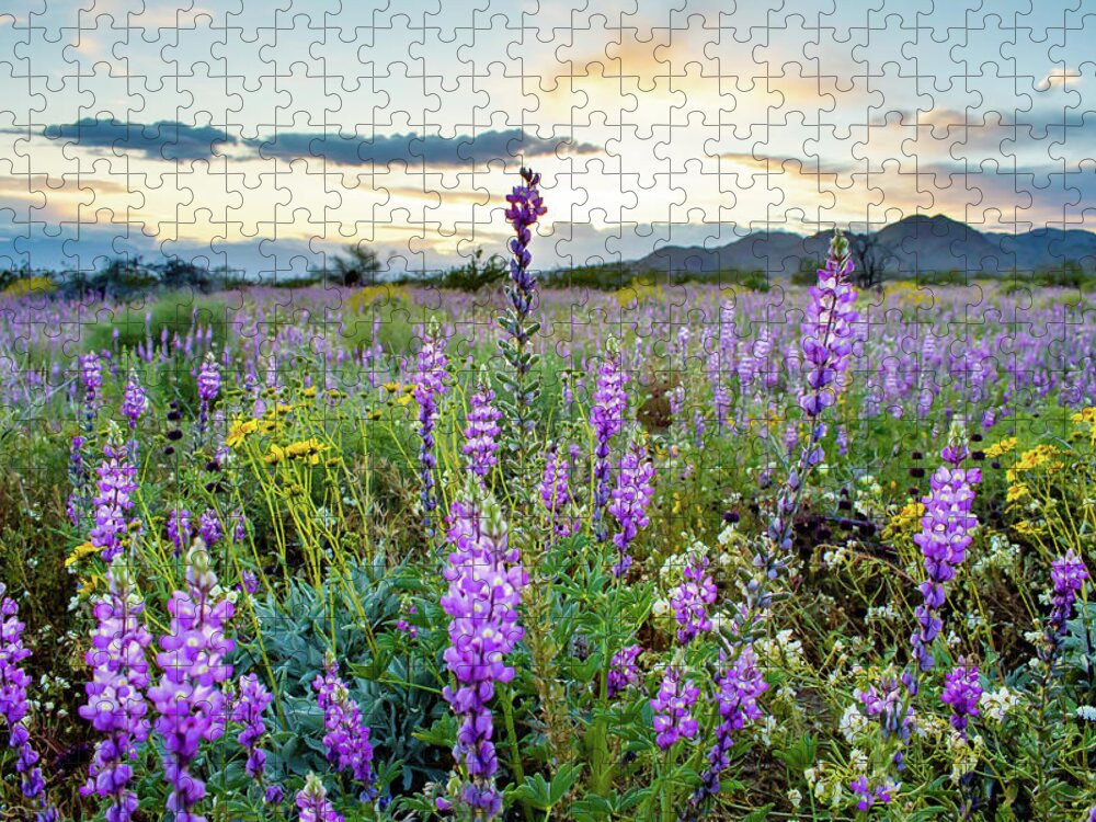 Grape Soda Lupine Jigsaw Puzzle featuring the photograph Joshua Tree Sunset Wildflowers by Kyle Hanson