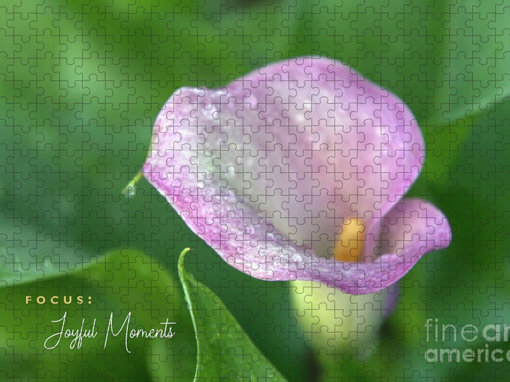 Calla Lily Jigsaw Puzzle featuring the photograph Joyful Moments by Amy Dundon