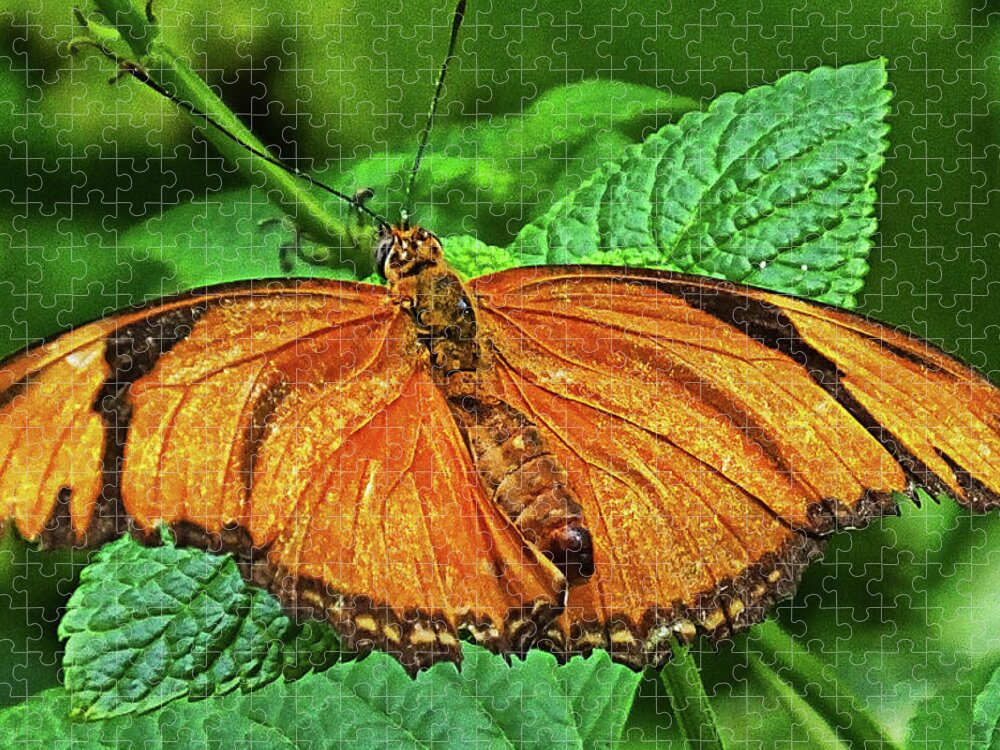 Butterfly Jigsaw Puzzle featuring the photograph Julia Heliconian by Bill Barber