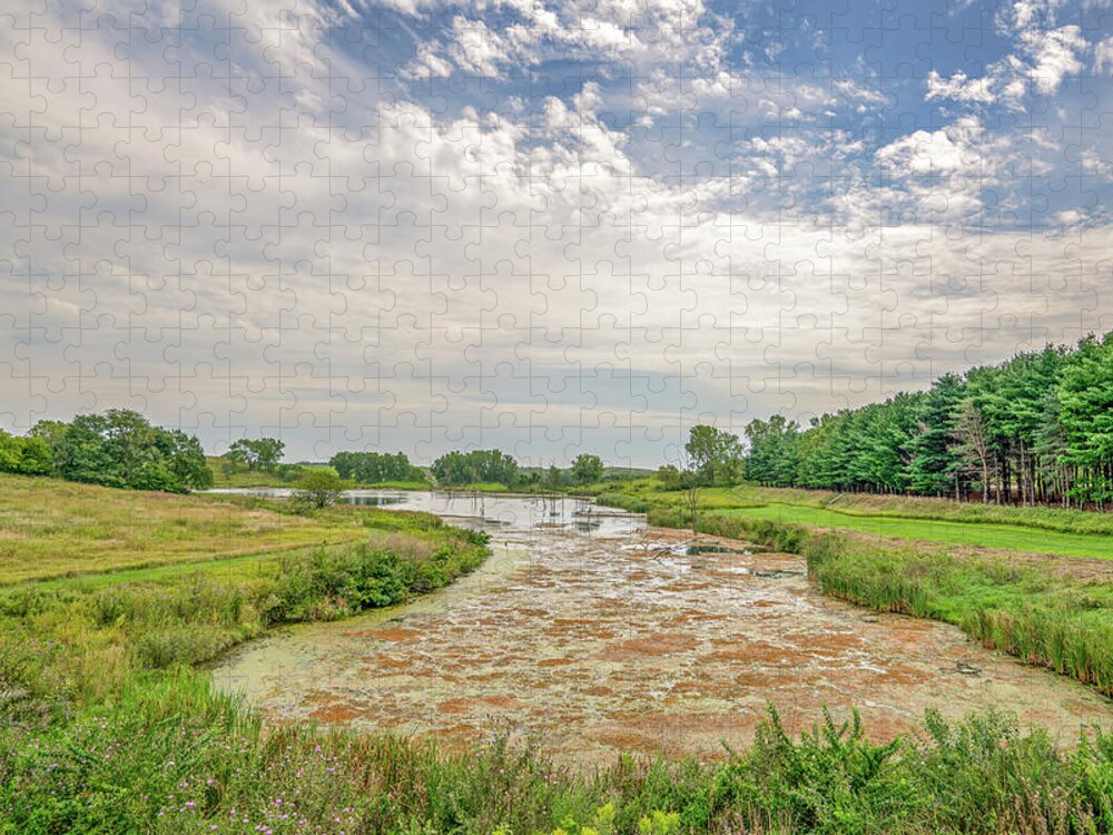 Lake Jigsaw Puzzle featuring the photograph July 2023 At the Lake by Alain Zarinelli