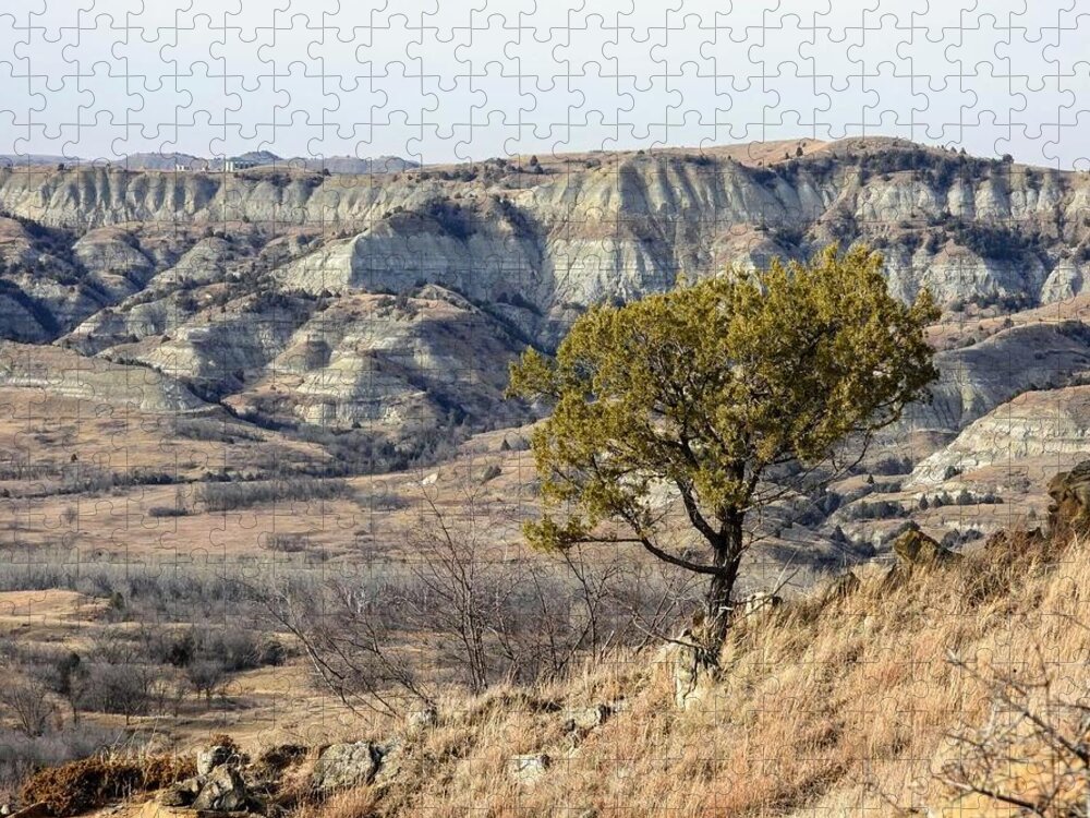 Tree Jigsaw Puzzle featuring the photograph Juniper on the Ridge by Amanda R Wright