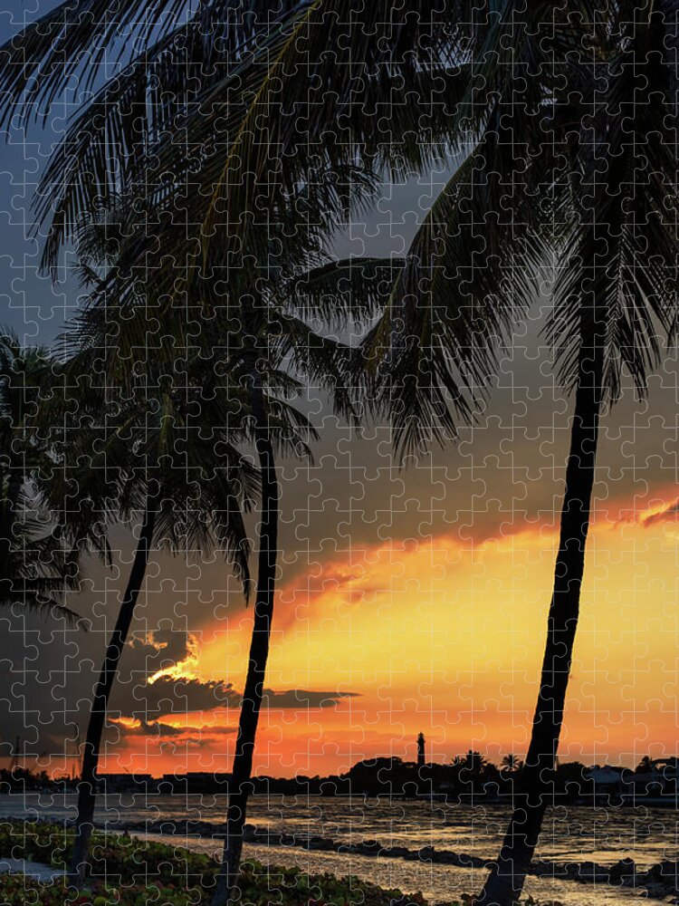 Palm Tree Jigsaw Puzzle featuring the photograph Jupiter Inlet Palms by Laura Fasulo
