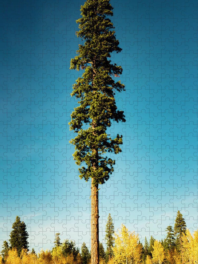 Nature Jigsaw Puzzle featuring the photograph Just Trying to Blend In by Mike Lee