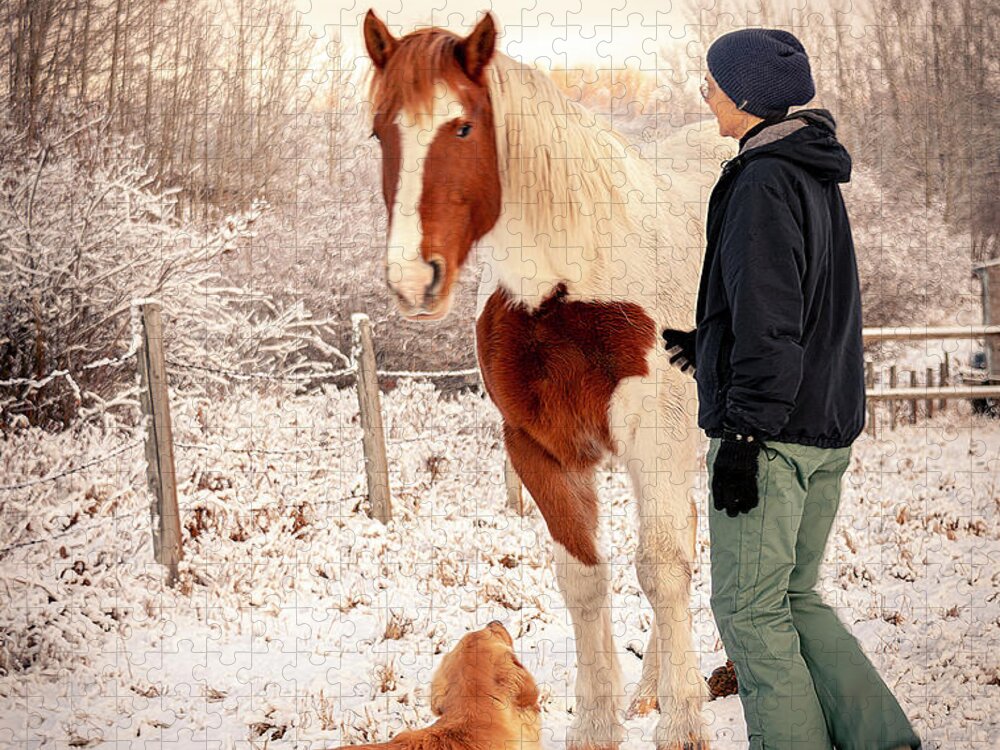 Horse Jigsaw Puzzle featuring the photograph Karen, Gracie and Murphy by Phil And Karen Rispin