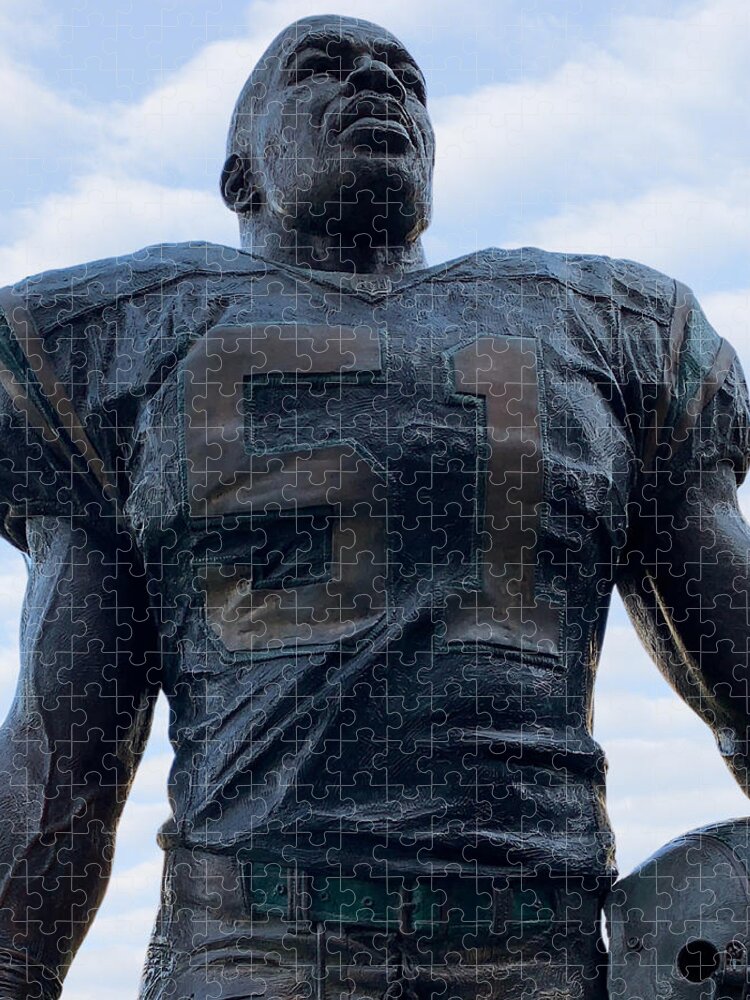Sam Mills Jigsaw Puzzle featuring the photograph Keep Pounding by Lee Darnell