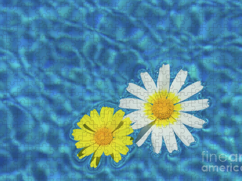 Daisies Jigsaw Puzzle featuring the photograph Keep your sunny days by the pool by Adriana Mueller