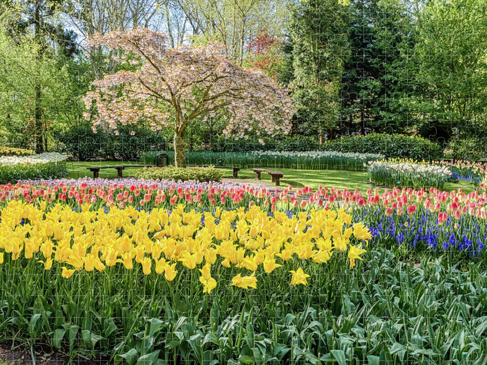 Europe Jigsaw Puzzle featuring the photograph Keukenhof Gardens I by Jim Miller