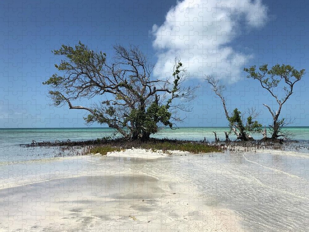 Key West Florida Waters Jigsaw Puzzle featuring the photograph Key West Waters by Ashley Turner