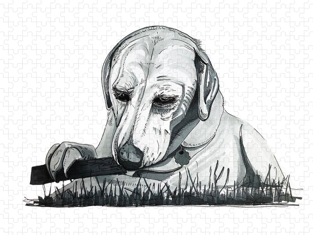 Labrador Jigsaw Puzzle featuring the drawing Labrador with Stick by Creative Spirit