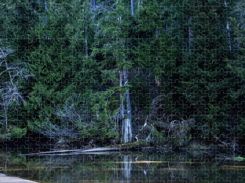 Trees Jigsaw Puzzle featuring the photograph Lake Sylvia Shore Line by Cheryl Day