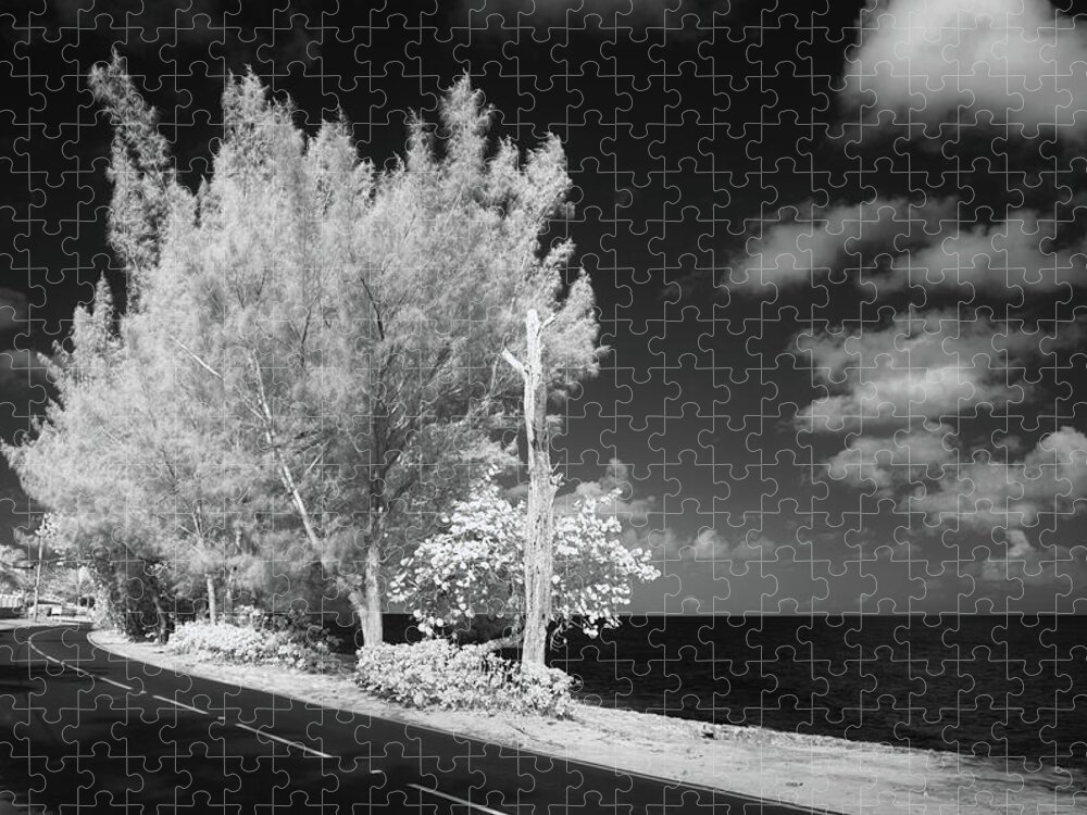 Infrared Photography Jigsaw Puzzle featuring the photograph Land and Sea by Gian Smith