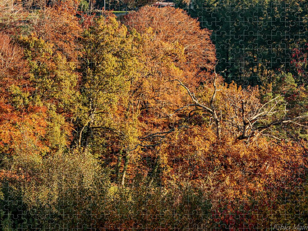  Jigsaw Puzzle featuring the photograph Land Art by Fabio Maimone