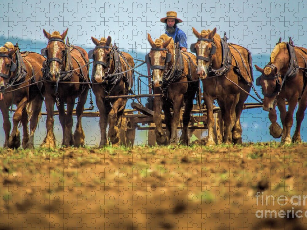 Travel Jigsaw Puzzle featuring the photograph Landscape_Amish Country Tour_IMGL2018 by Randy Matthews