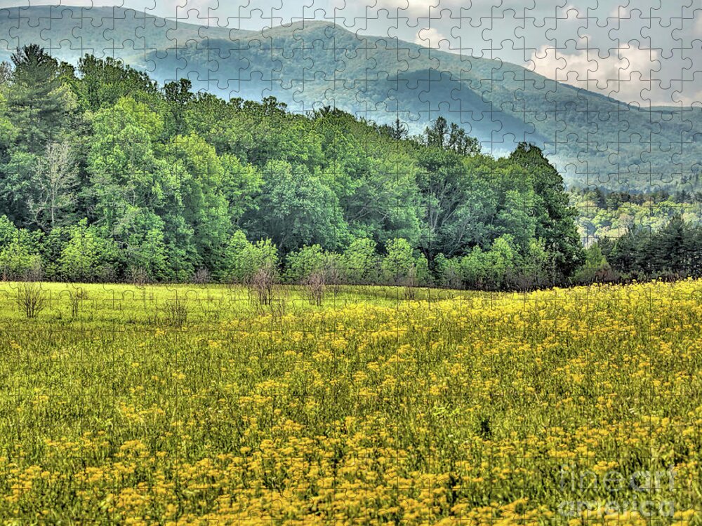 Smoky Mountains National Park Jigsaw Puzzle featuring the photograph Landscape_Mountain Vista_Smokey Mountains_NP_IMGL9886 by Randy Matthews