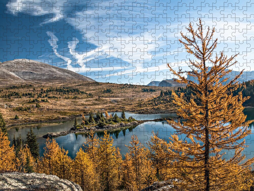 Larch Jigsaw Puzzle featuring the photograph Larch Trees in Sunshine Meadow by Linda Villers