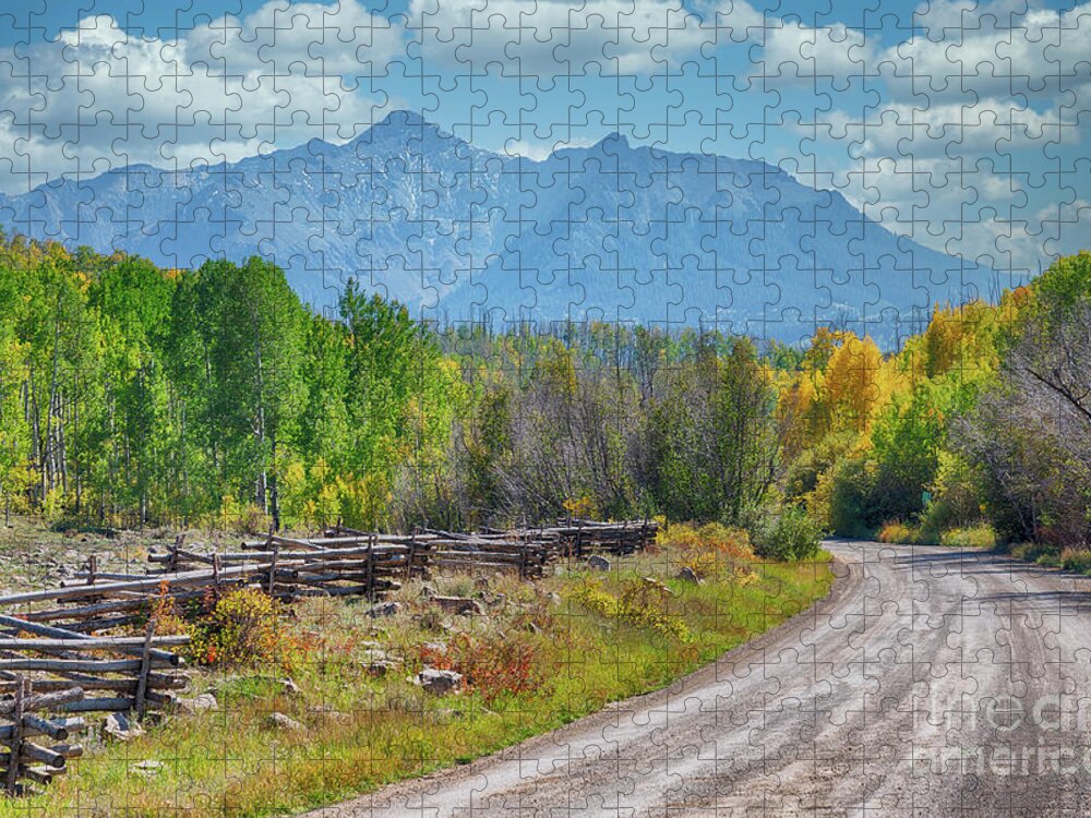 Last Dollar Road Jigsaw Puzzle featuring the photograph Last Dollar Road by Priscilla Burgers