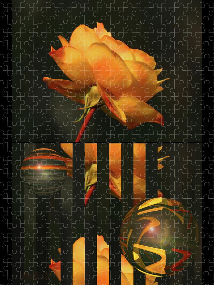 Last Gold Rose Of Summer Before & After Jigsaw Puzzle featuring the photograph Last Gold Rose of Summer - Before and After - Photography - Floral Photography - Rose Abstract Art by Brooks Garten Hauschild