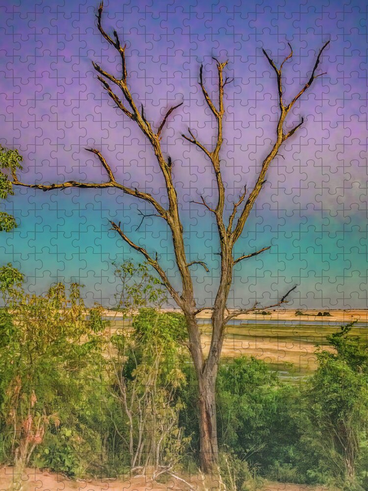 Africa Jigsaw Puzzle featuring the photograph Last Morning by Marcy Wielfaert
