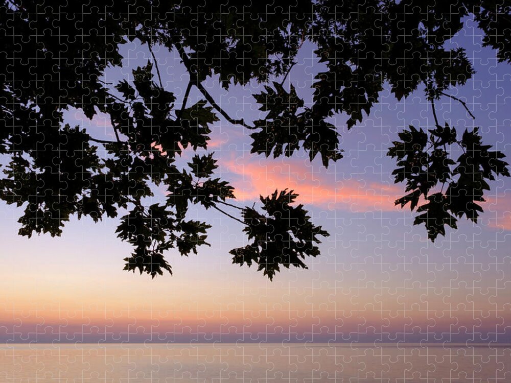 Lake Michigan Jigsaw Puzzle featuring the photograph Last of the Leaves at Lake Michigan by Mary Lee Dereske