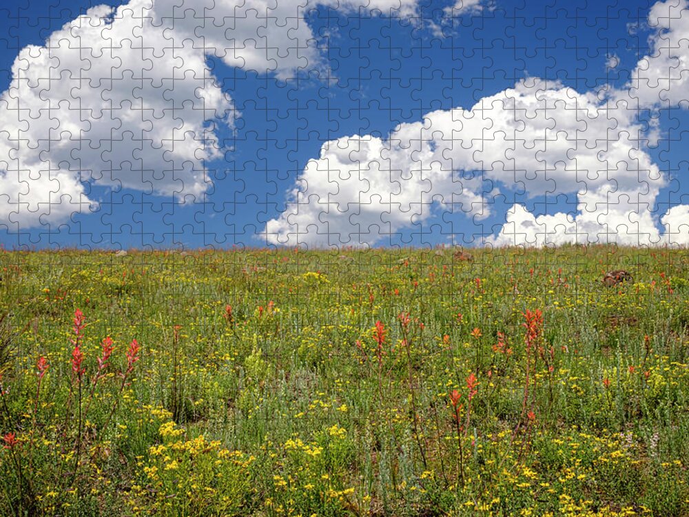 Flowers Jigsaw Puzzle featuring the photograph Late Summer Wildflowers Northern New Mexico by Mary Lee Dereske