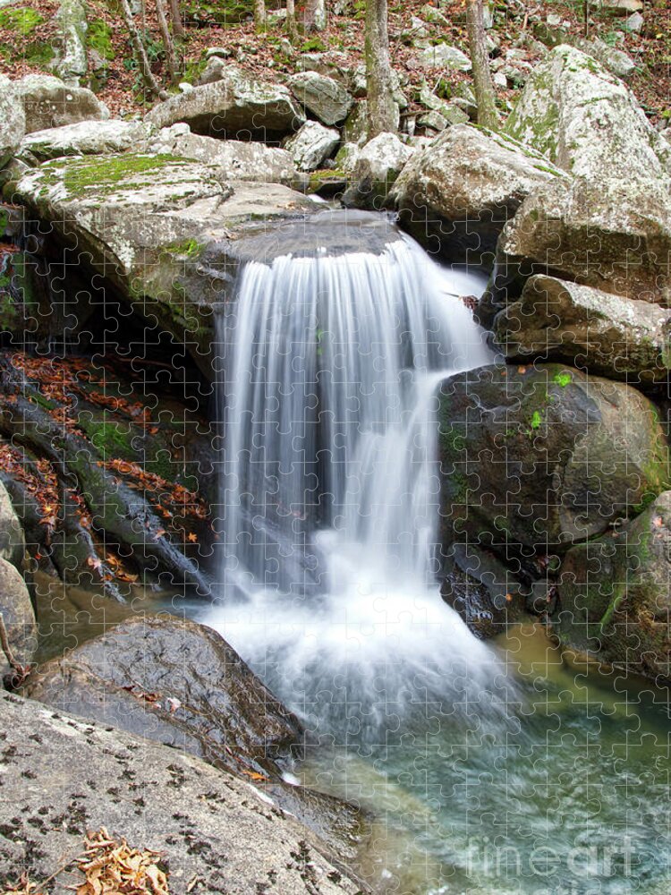 Laurel Fall Jigsaw Puzzle featuring the photograph Laurel Creek 6 by Phil Perkins