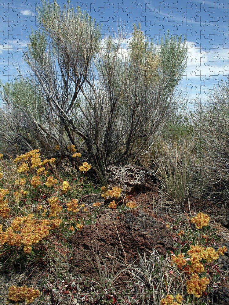 Lava Beds Color Brush Jigsaw Puzzle featuring the photograph Lava Beds Color Brush by Dylan Punke