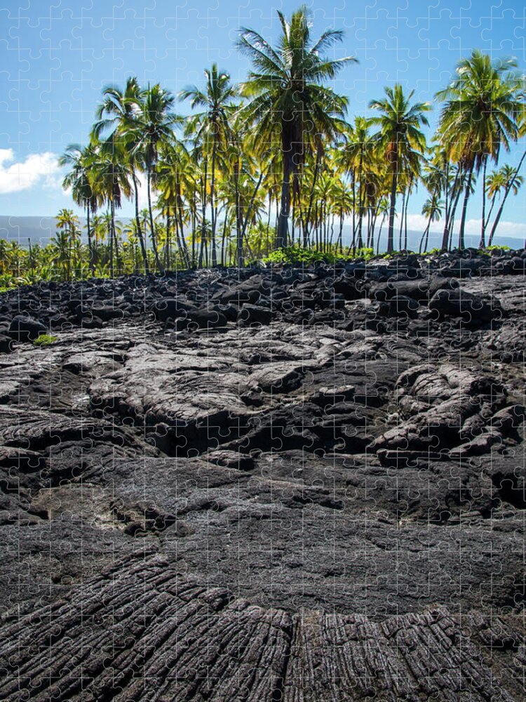 Lava Jigsaw Puzzle featuring the photograph Lava Lines by Bill Cubitt