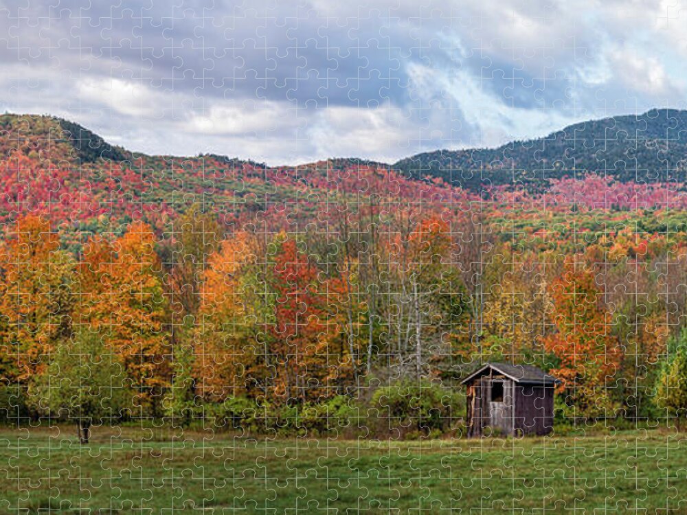 Outhouse Jigsaw Puzzle featuring the photograph Let It All Go by Mark Papke