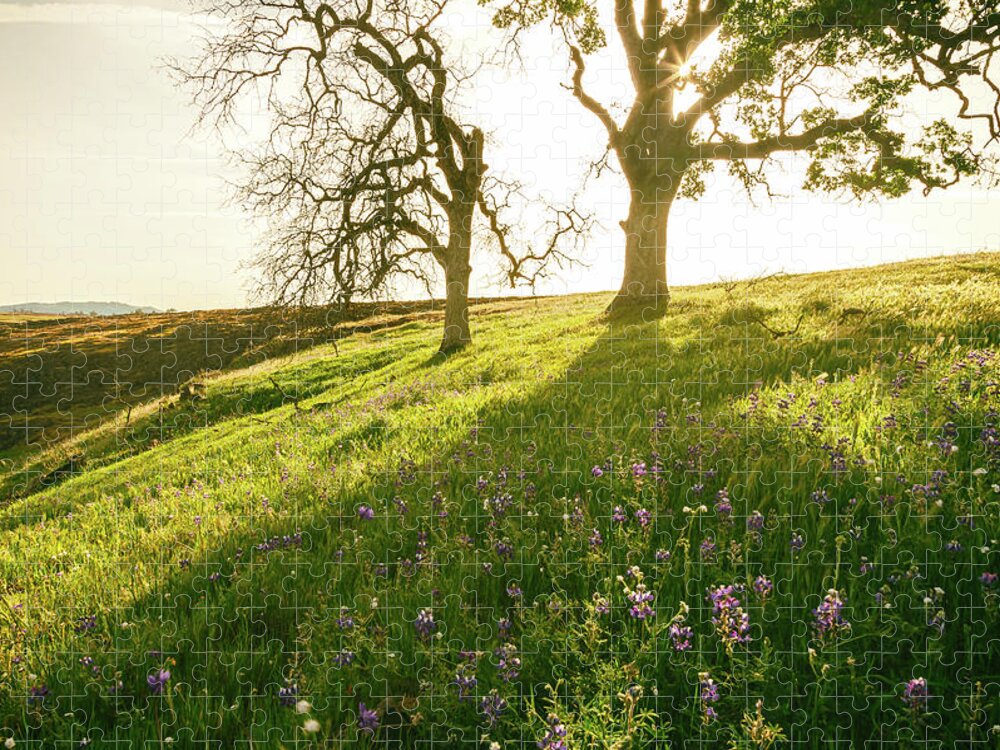 Lupine Jigsaw Puzzle featuring the photograph Life In The Shadow by Jonathan Nguyen