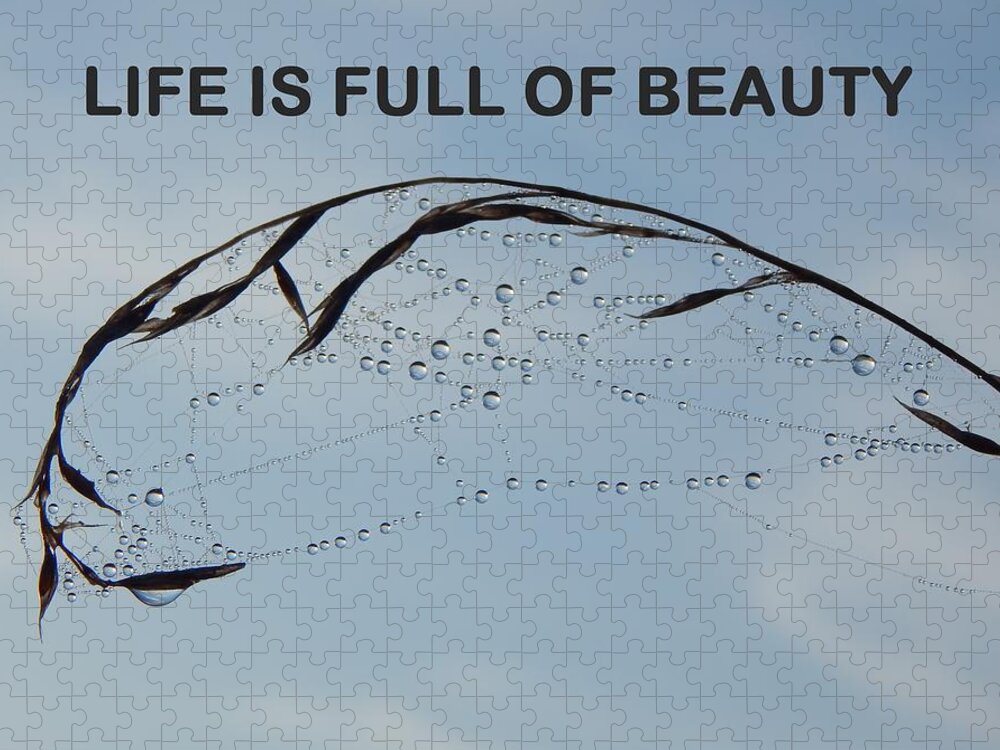 Life Is Full Of Beauty Jigsaw Puzzle featuring the photograph Life Is Full Of Beauty by Gallery Of Hope