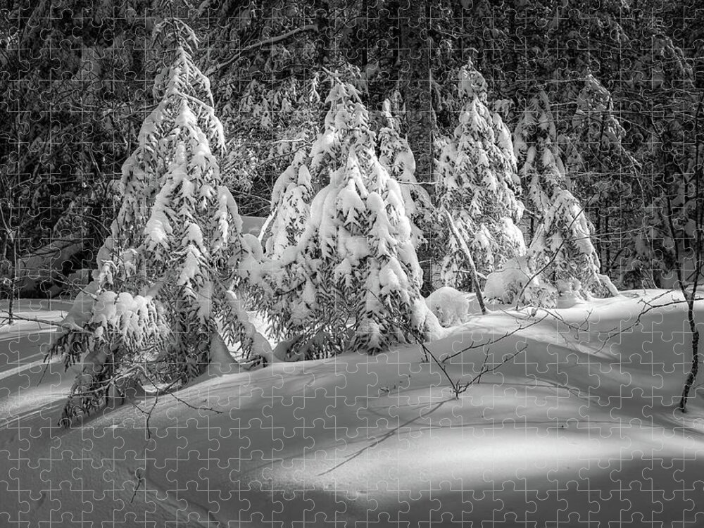 New Hampshire Jigsaw Puzzle featuring the photograph Light In The Winter Wood by Jeff Sinon