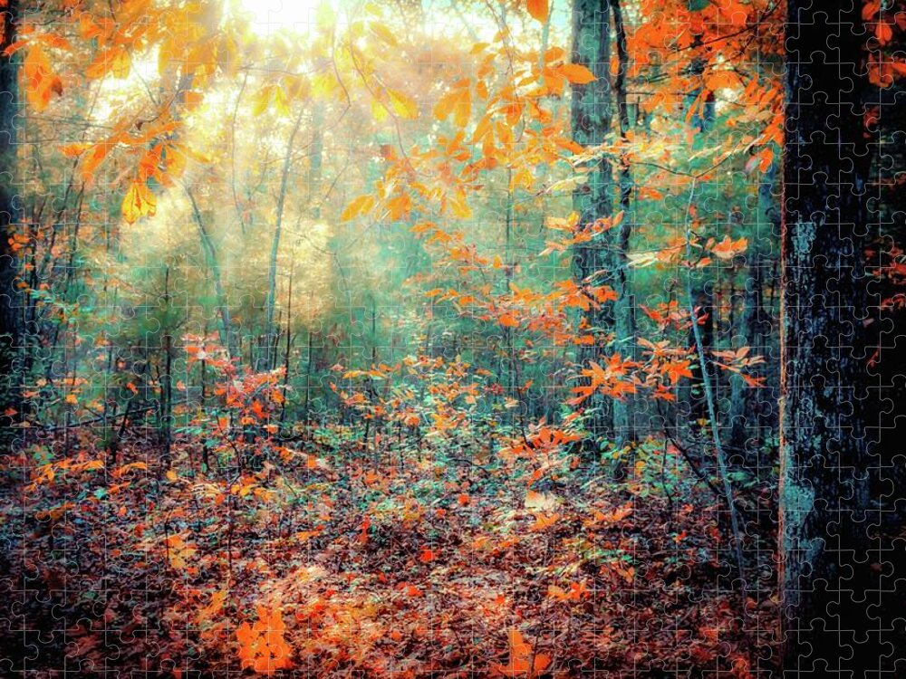 Light In The Woods Jigsaw Puzzle featuring the photograph Light In The Woods A by Lilia S